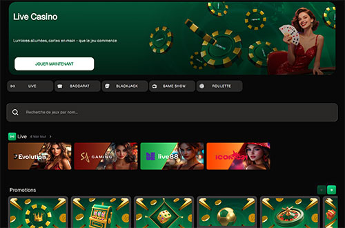 Les fournisseurs disponibles uspinme casino fournisseurs
